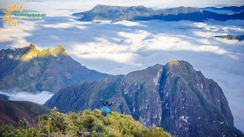 Bạch Mộc Lương Tử Hòa Bình Bạch Mộc Lương Tử Hòa Bình