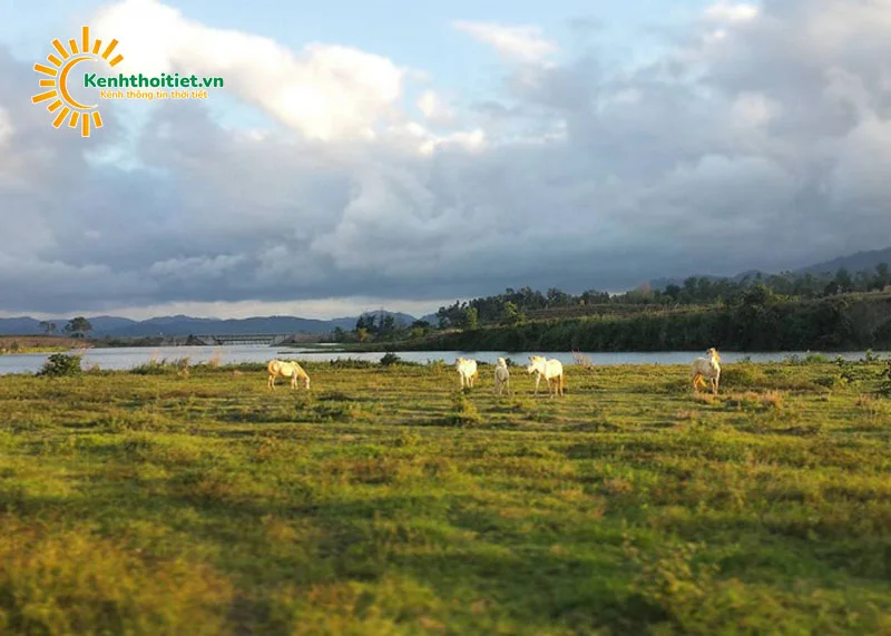 Khu Du Lịch Sinh Thái M Khu Du Lịch Sinh Thái M'ĐRăk