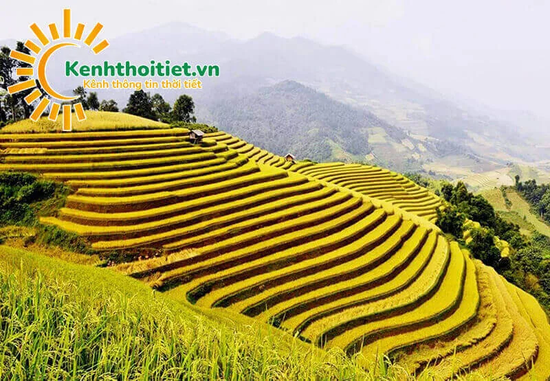 Ruộng bậc thang ở Điện Biên Ruộng bậc thang ở Điện Biên